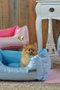 Cama Para Cães e Gatos Retangular Milão Com Almofada - Azul