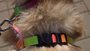 Peiteira com Guia para Cachorros e Gatos Modelo Poly Tie Dye Neon